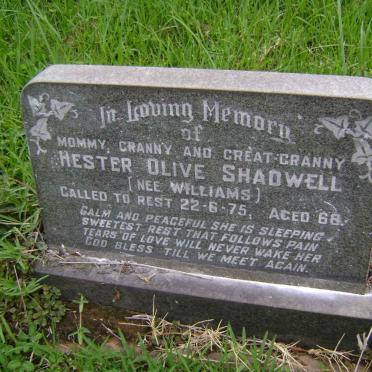 SHADWELL Hester Olive nee WILLIAMS -1975