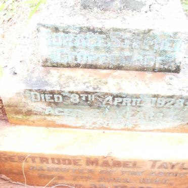 TAYLOR Gertrude Mabel -1945 :: WADE Horace Stephen George -1928 