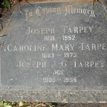 TARPEY Joseph 1881-1952 &amp; Caroline Mary 1883-1973 :: TARPEY Joseph H.G. 1905-1956