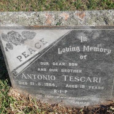 TESCARI Antonio -1964