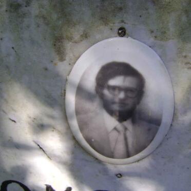 TORINO Giacomo 1930-1976