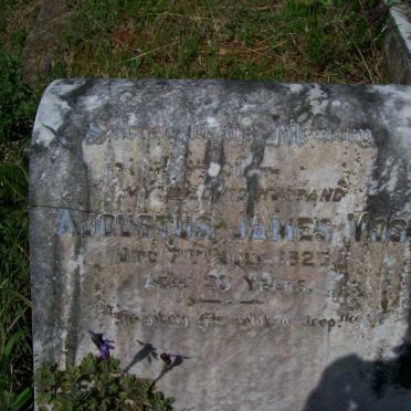 VOS Augustus James -1925