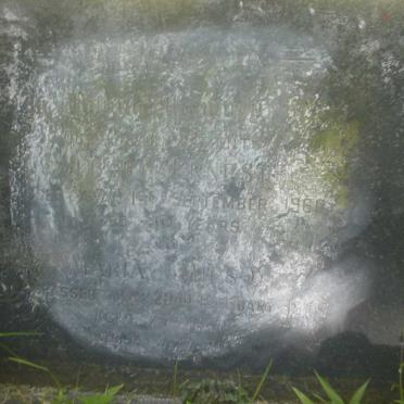 WILKINSON Albert Ernest -1960 &amp; Maria Johanna Suzanna -1969