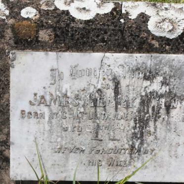 WILLS James Henry -1916