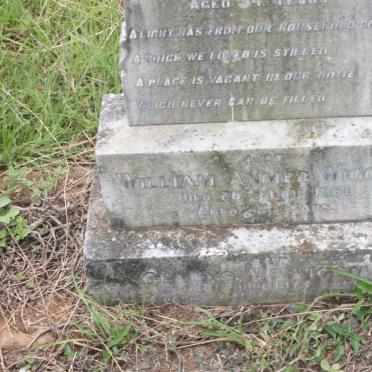 WIGGILL William Anmer -1960 &amp; Fanny Jane HART -1929