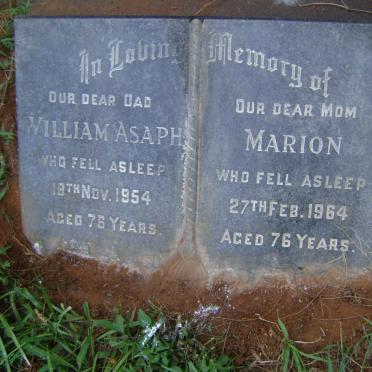 WILKINSON William Asaph -1954 &amp; Marion -1964