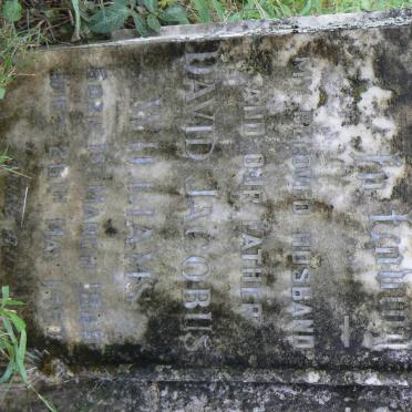 WILLIAMS David Jacobus 1888-1960