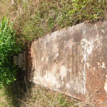 WOOLLAM Barbara Keith -1925 :: WOOLLAM Francis James -1934 :: WOOLLAM David Arthon 1926-1927