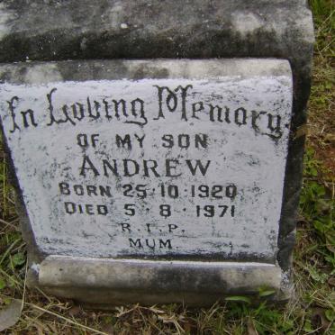 WOEST Andrew 1920-1971