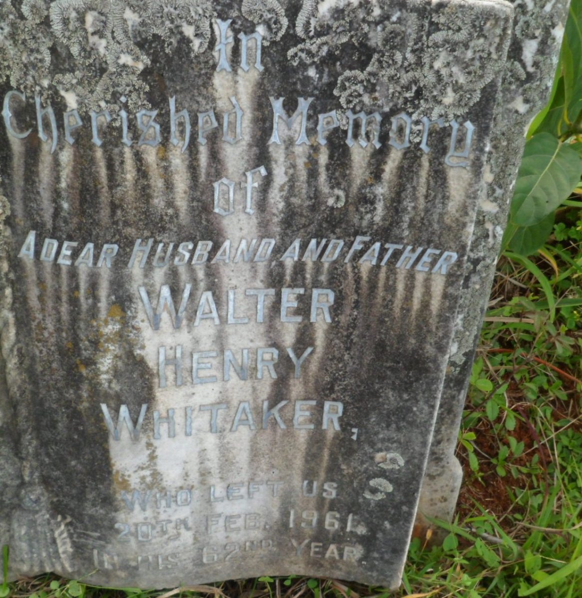 WHITAKER Walter Henry -1961