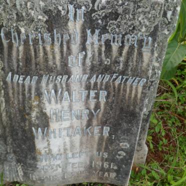 WHITAKER Walter Henry -1961