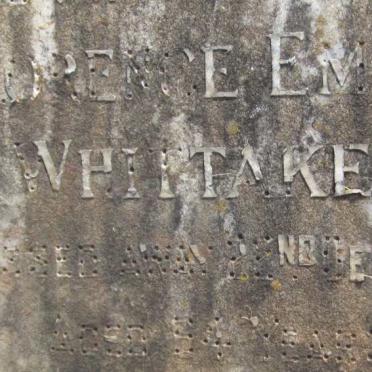 WHITTAKER Florence Emily -1950