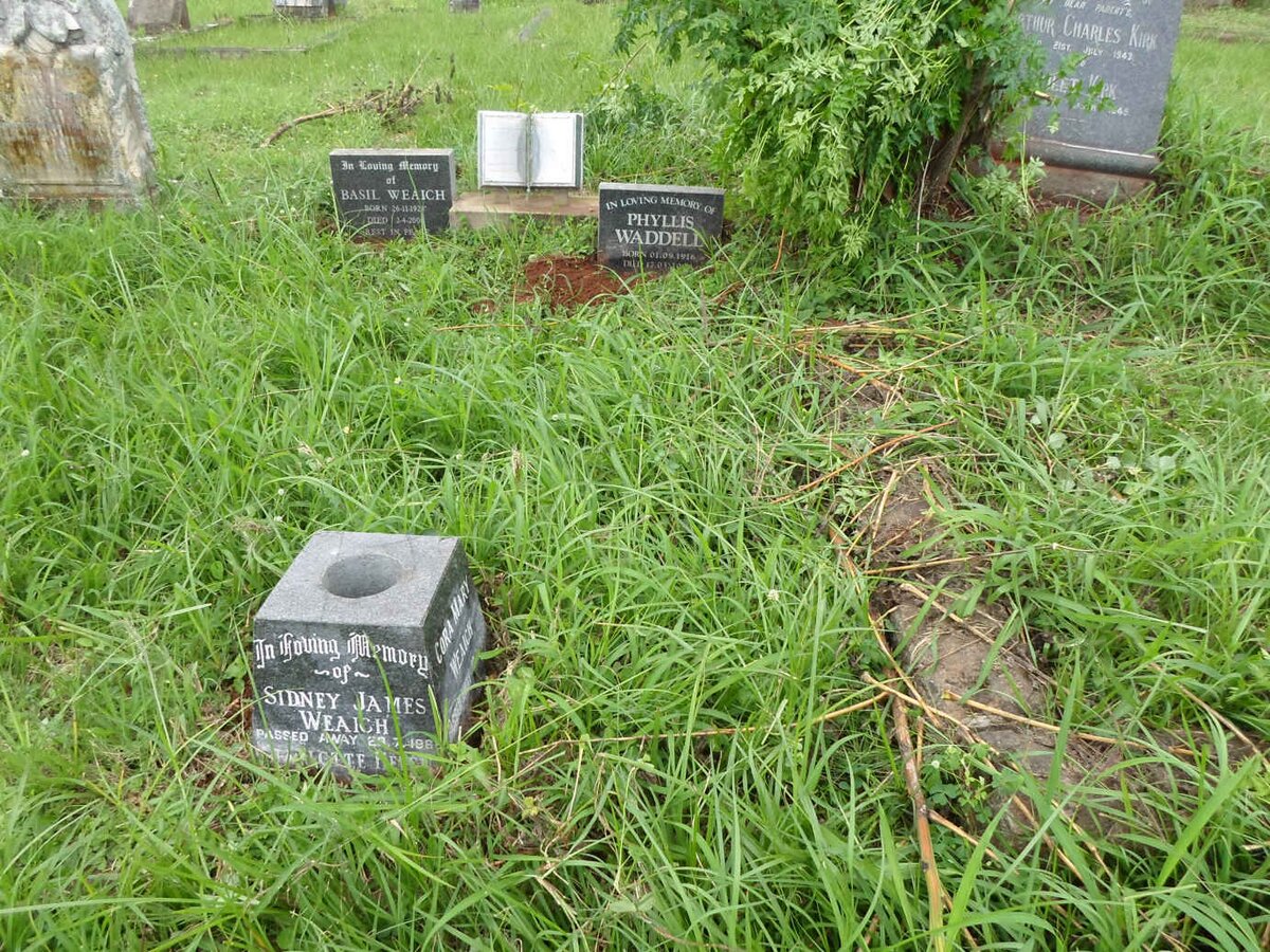 WEAICH :: WADDELL :: LORING