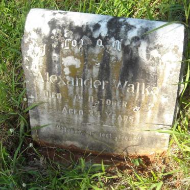 WALKER Alexander -1922