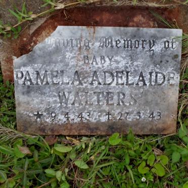 WALTERS Pamela Adelaide 1943-1943