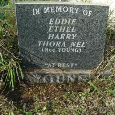 YOUNG Eddie - 1955 :: YOUNG Ethel - 1971 :: YOUNG Harry :: NEL Thora nee YOUNG -1971