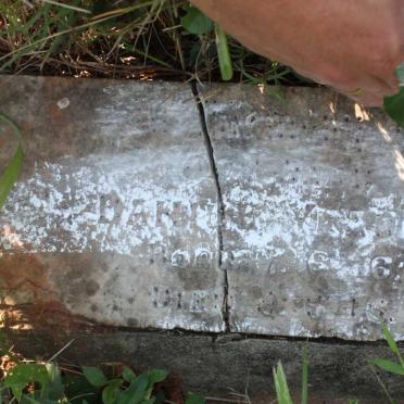 YEADON Daniel  1916-1916