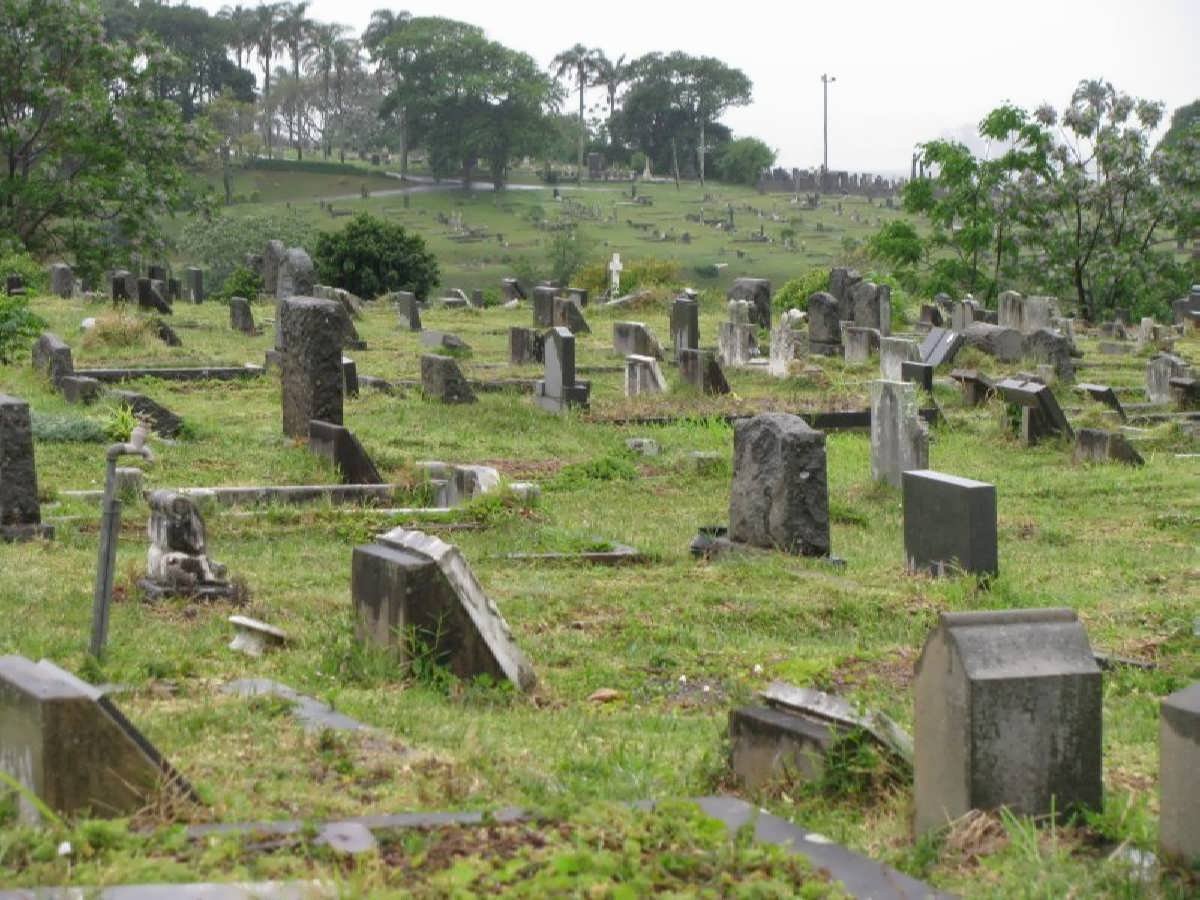 23. Overview from Y section.