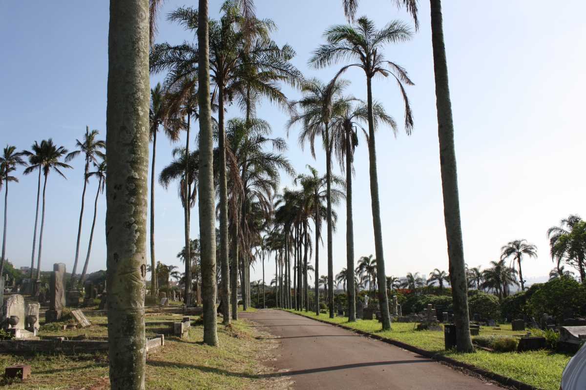 02. Road leading to the Cemetery