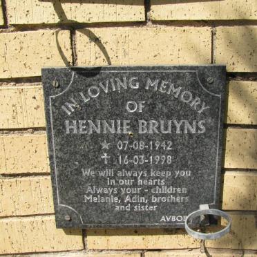BRUYNS Hennie 1942-1998