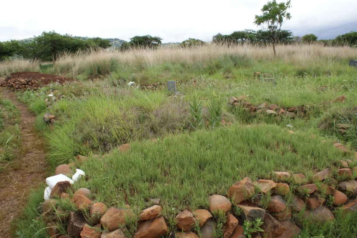 3. Overview