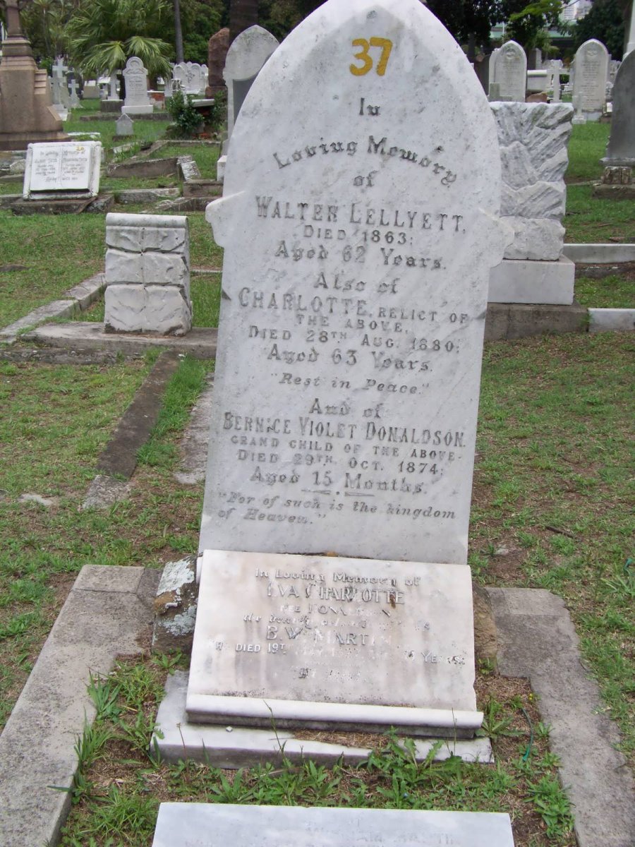 LELLYETT Walter -1863 &amp; Charlotte -1880 :: DONALDSON Bernice Violet -1874 :: MARTIN Eva Charlotte -1927