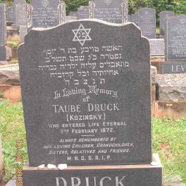 DRUCK Taube nee KOZINSKY -1972