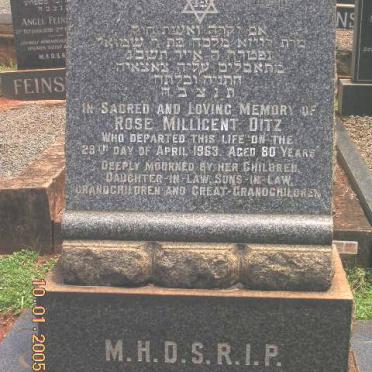 DITZ  Rose Millicent -1963