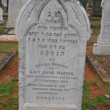 HARRIS Lily Rose -1926