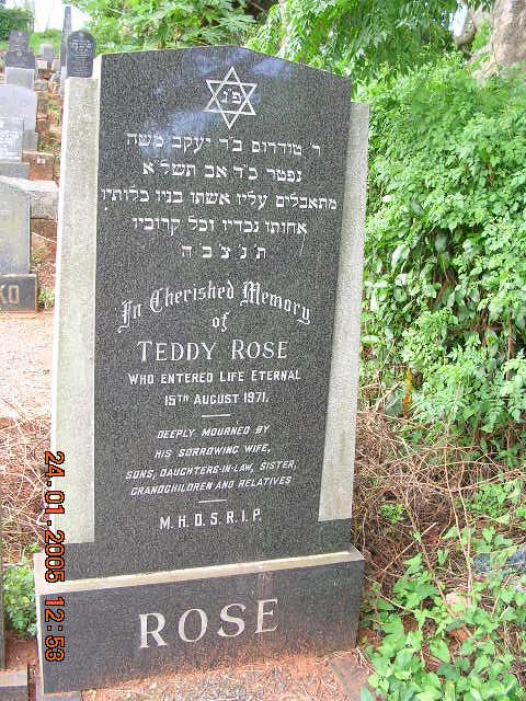 ROSE Teddy -1971