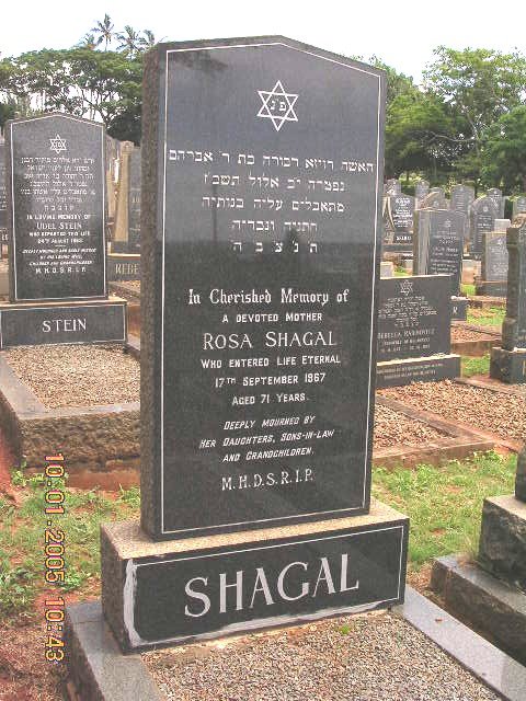SHAGAL Rosa -1967