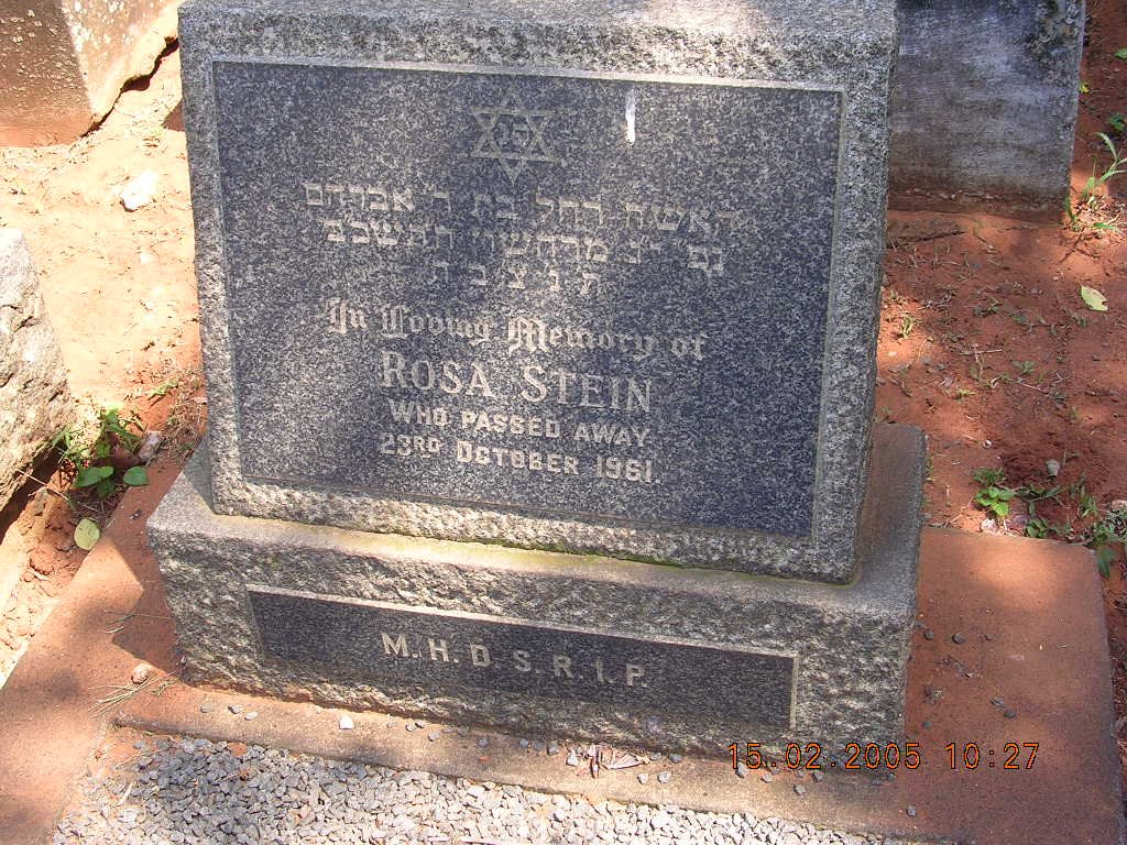 STEIN Rosa -1961