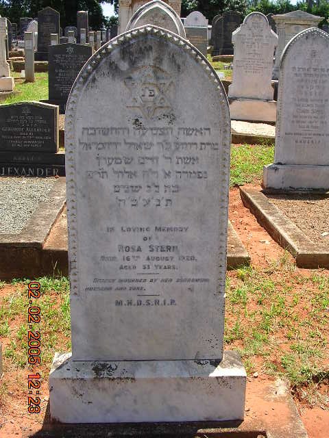 STERN Rosa -19??