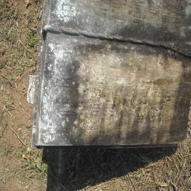 JOHNSON Logarcoote 1896-1981 &amp; Elaine