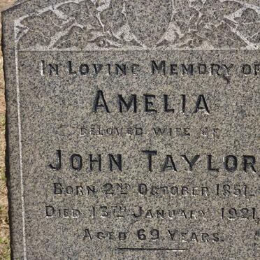 TAYLOR John 1853-1934 &amp; Amelia 1851-1921 :: TAYLOR Andrew -1938