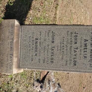 TAYLOR John 1853-1934 &amp; Amelia 1851-1921 :: TAYLOR Andrew -1938