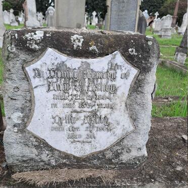 A - Surnames :: Vanne - A