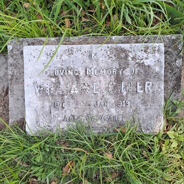 CILLER William E. -1919