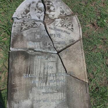 GUTHRIE Harry H. -1904 :: GUTHRIE Reginald Harry -1904