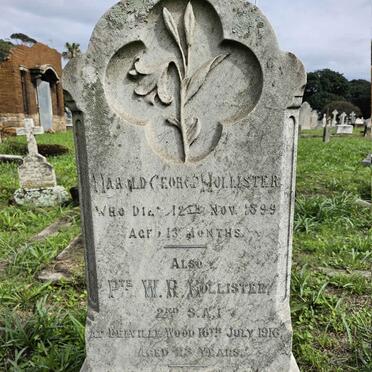 HOLLISTER W.R. -1916 :: HOLLISTER Harold George -1899