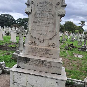 HERD :: HUNTER - see names