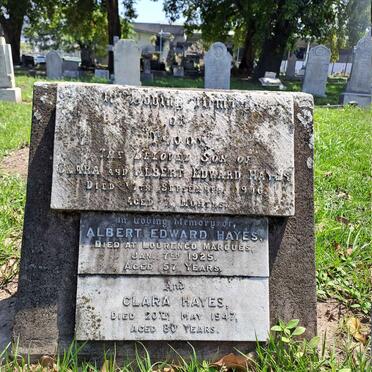 HAYES Albert Edward -1925 & Clara -1947 :: HAYES Tso? -1906