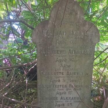 HORNE William -1886 & Elizabeth Ambrose -1877 :: HORNE Charlotte Aliethea -1864 :: HORNE James Tester Robertson -18?? :: HORNE George Alexander -18??