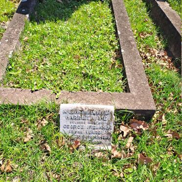 IRELAND Harriet Jane nee HEARD -1919