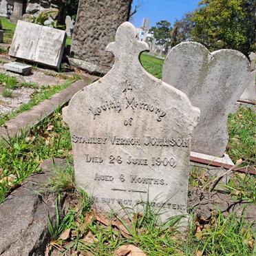 JOHNSON Stanley Vernon -1900