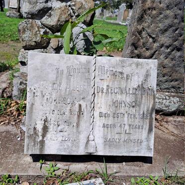 JOHNSON Percy Albert -2009 :: JOHNSON Reginald Hugh -1965 :: JOHNSON Gwen 1907-2008 _1