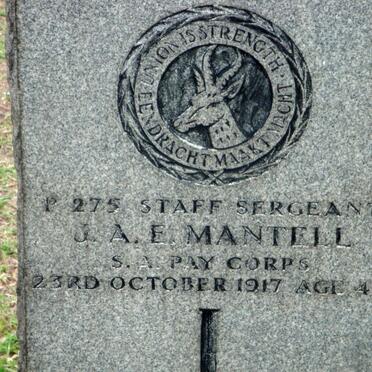 MANTELL J.A.E. -1917