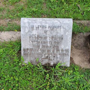 N - Vanne :: Surnames - N