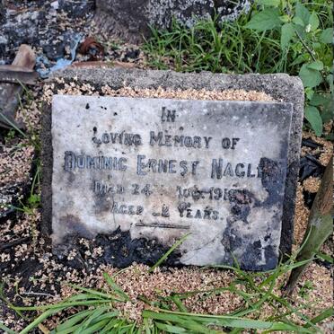 NAGLE Dominic Ernest -1919