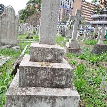 PINNELL Nathaniel Ernest 1858-1904